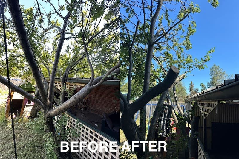 The Roof Guys Melbourne gutter cleaning work in Brunswick