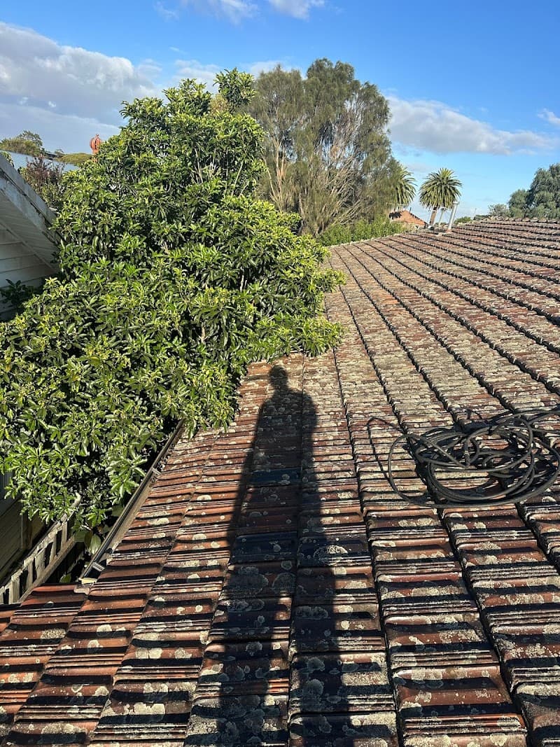 The Roof Guys Melbourne gutter cleaning work in Brunswick