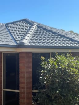 The Roof Reviver