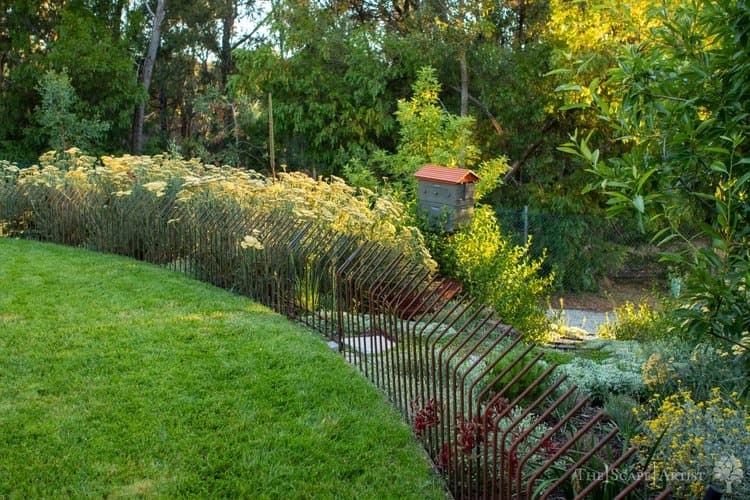 The Scape Artist landscaping work in Lake Gardens