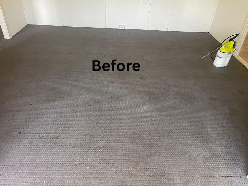 The Skilled Cleaning carpet cleaning work in Morayfield