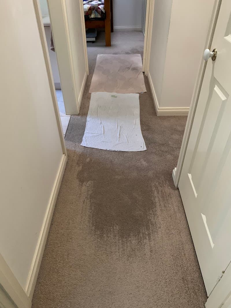 The Squeaky Clean Team carpet cleaning work in Mount Eliza