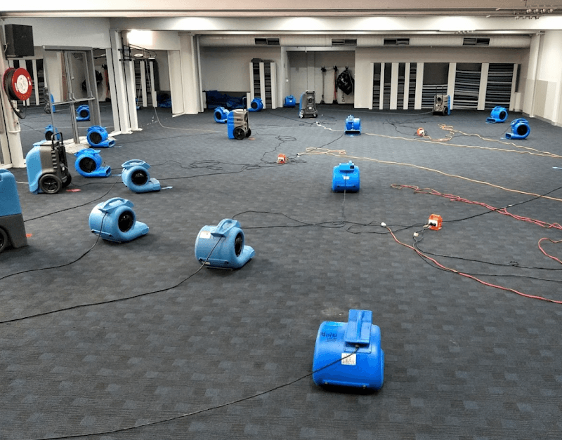The Squeaky Clean Team carpet cleaning work in Mount Eliza
