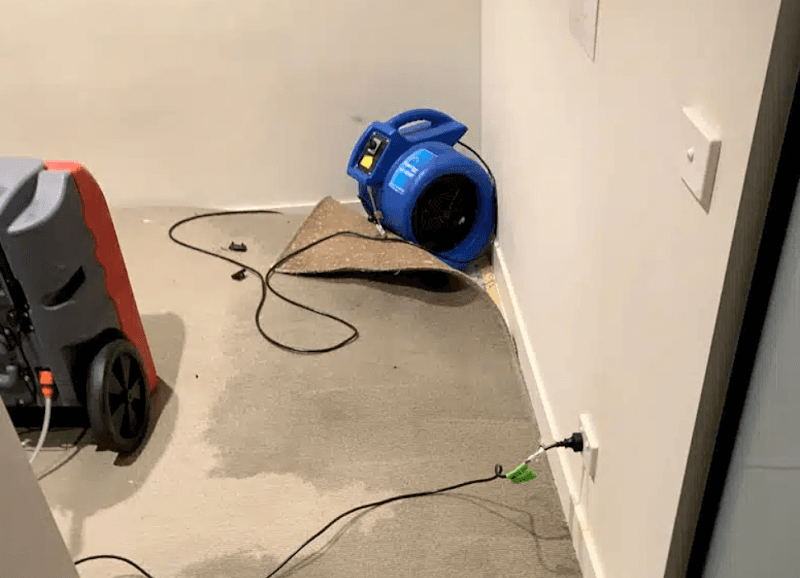 The Squeaky Clean Team carpet cleaning work in Mount Eliza