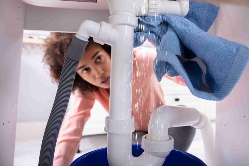 The Squeaky Clean Team carpet cleaning work in Mount Eliza