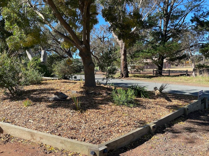 The Sustainable Gardener gardening work in Ngunnawal