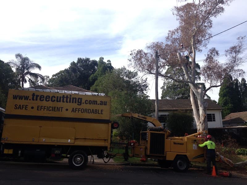 The Tree Cutting Company tree services work in Beecroft
