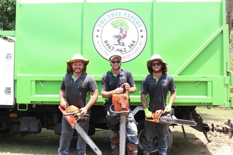 The Tree Expert tree services work in Bucasia