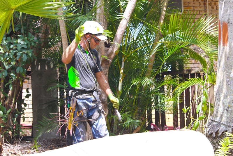 The Tree Expert tree services work in Bucasia