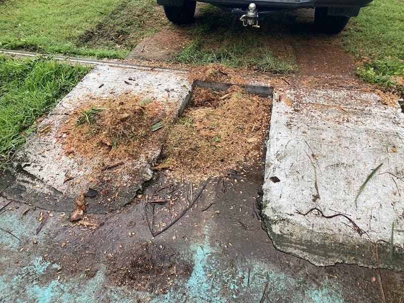 The Tree Men tree services work in Jensen