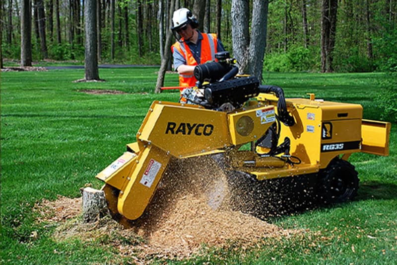 The Tree Services Belmont tree services work in Belmont