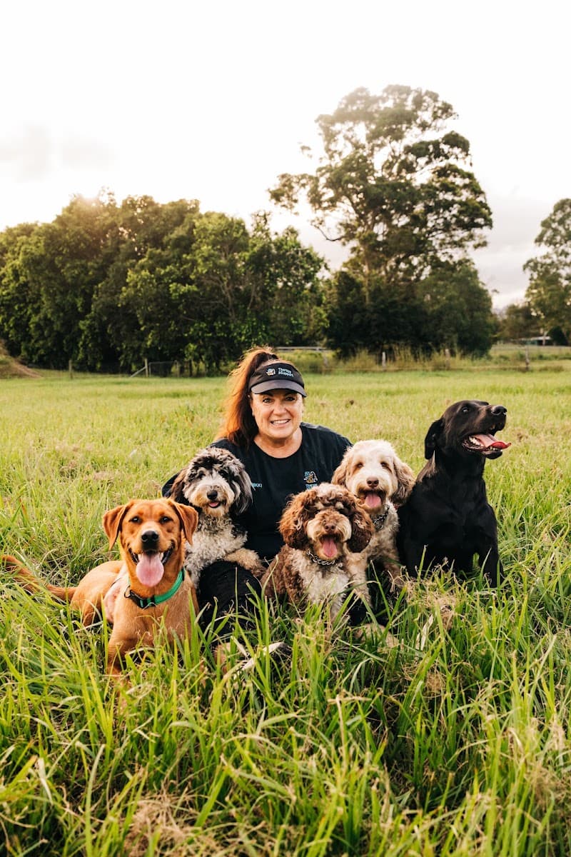 Therapy and Support Animals Australia dog training work in Yugar