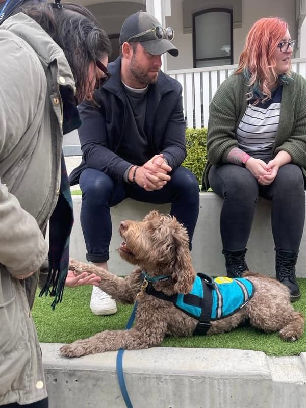 Therapy and Support Animals Australia dog training work in Yugar