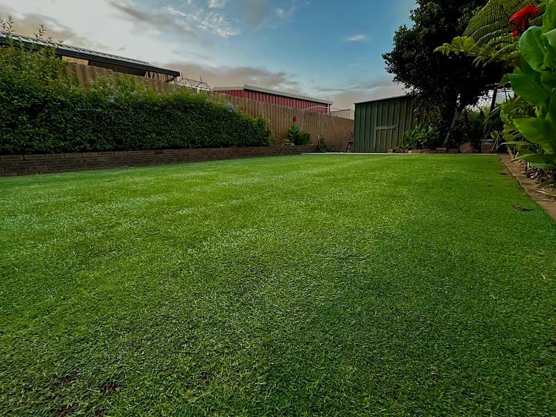 Thirsty Lawn Solutions lawn care work in Bibra Lake