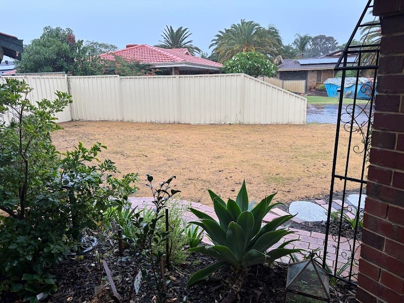 Thirsty Lawn Solutions lawn care work in Bibra Lake