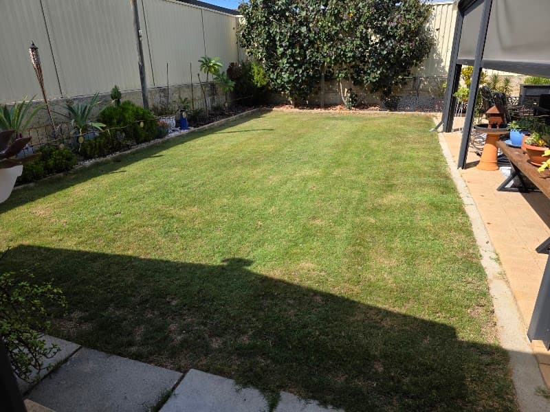 Thirsty Lawn Solutions lawn care work in Bibra Lake