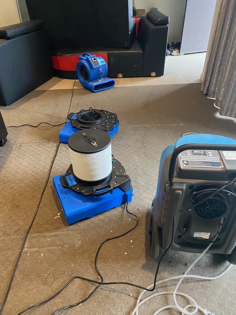 THM Carpet Cleaning carpet cleaning work in Nerrina