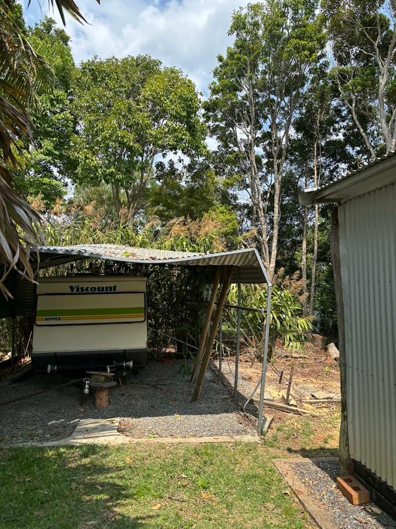 Thomas Arboriculture tree services work in Gordonvale