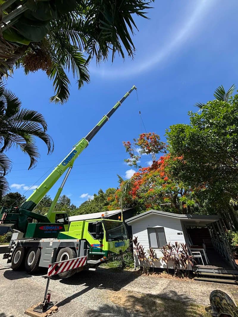 Thomas Arboriculture tree services work in Gordonvale