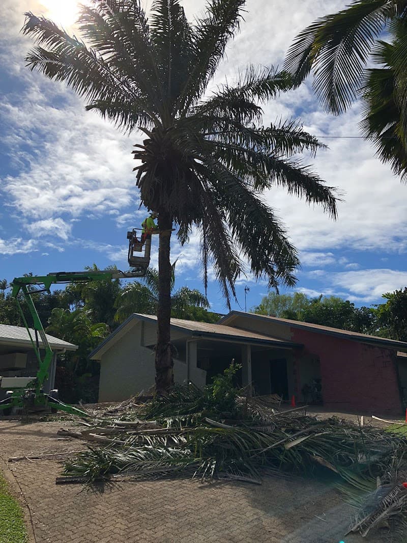 Thomas Arboriculture tree services work in Gordonvale