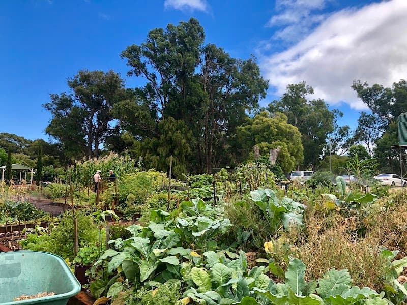 Thommo's Community Garden gardening work in Glen Iris