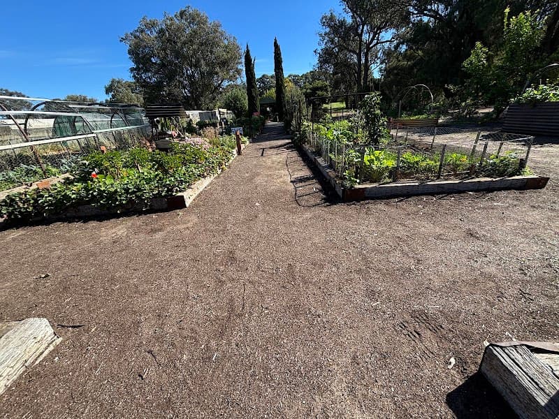 Thommo's Community Garden gardening work in Glen Iris