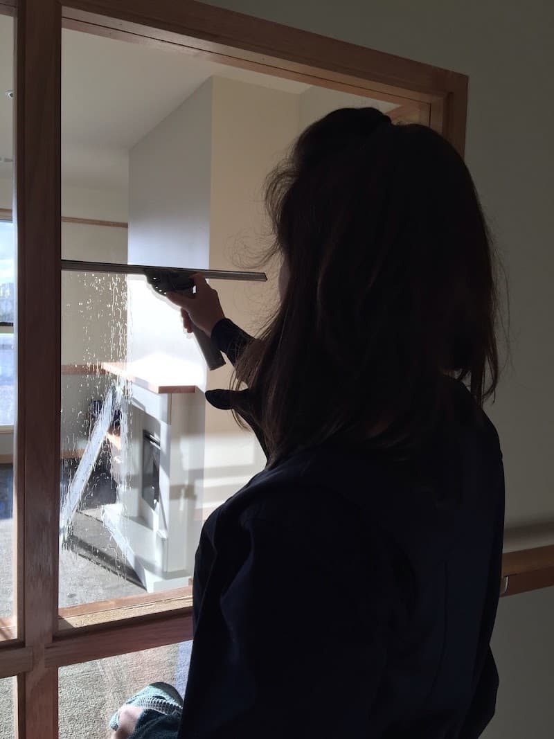 Thompson's Window & Solar Panel Cleaning Services gutter cleaning work in East Launceston