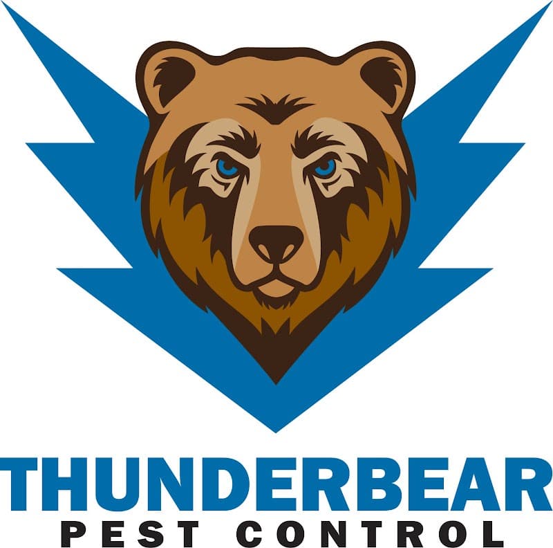 Thunderbear Pest Control pest control work in Shelly Beach