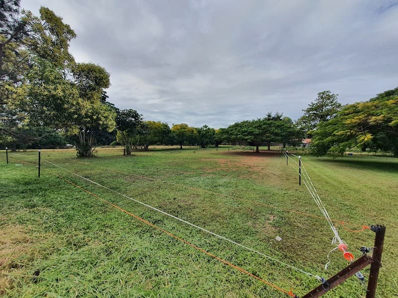 Tidy Lawn Care Services lawn care work in Narangba