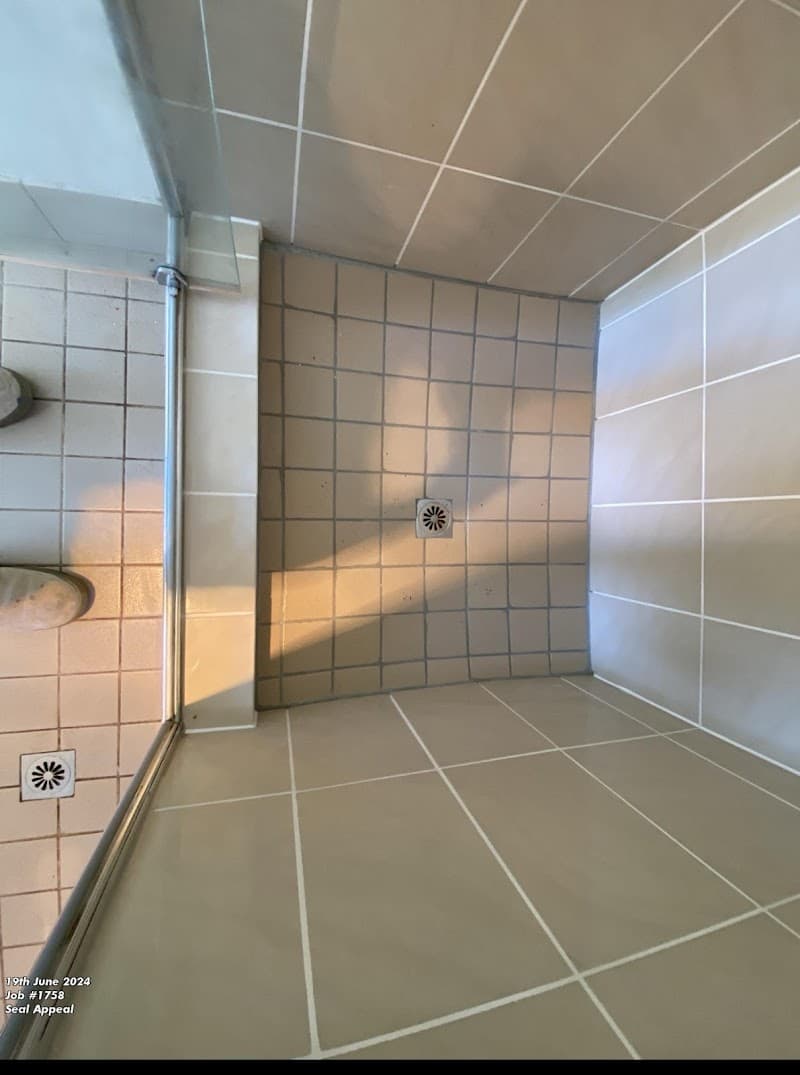 Tile and Seal Pro waterproofing work in Kings Park