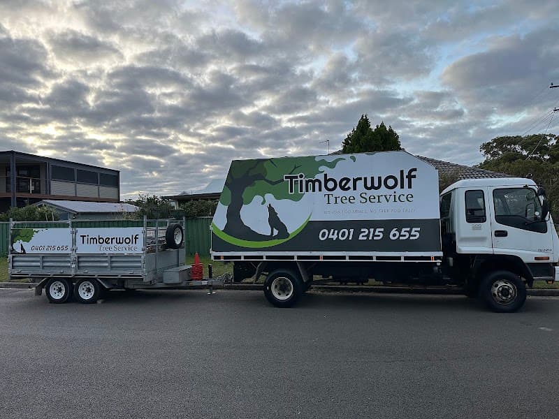 Timberwolf Tree Service tree services work in Dudley