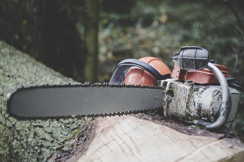 Timberwolf Tree Service tree services work in Dudley