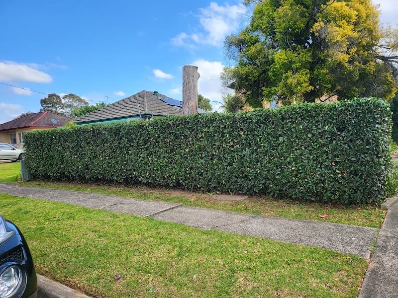 Timothys gardening lawn care lawn care work in Leumeah