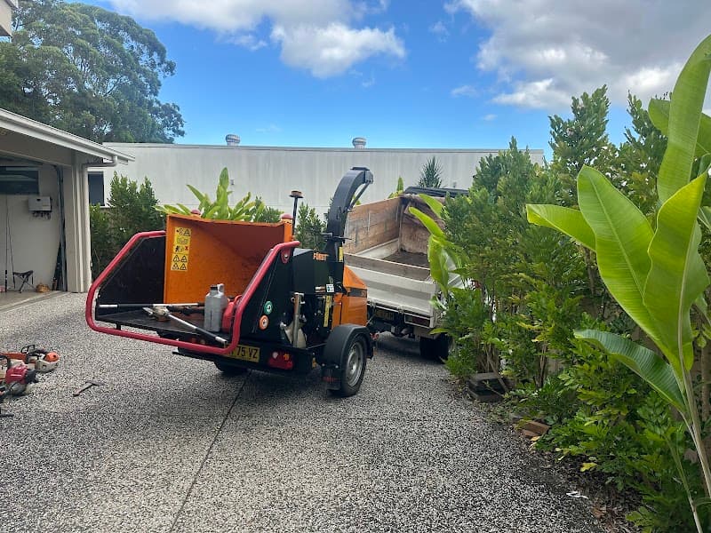 Tip Top Trees and Gardens tree services work in Aroona