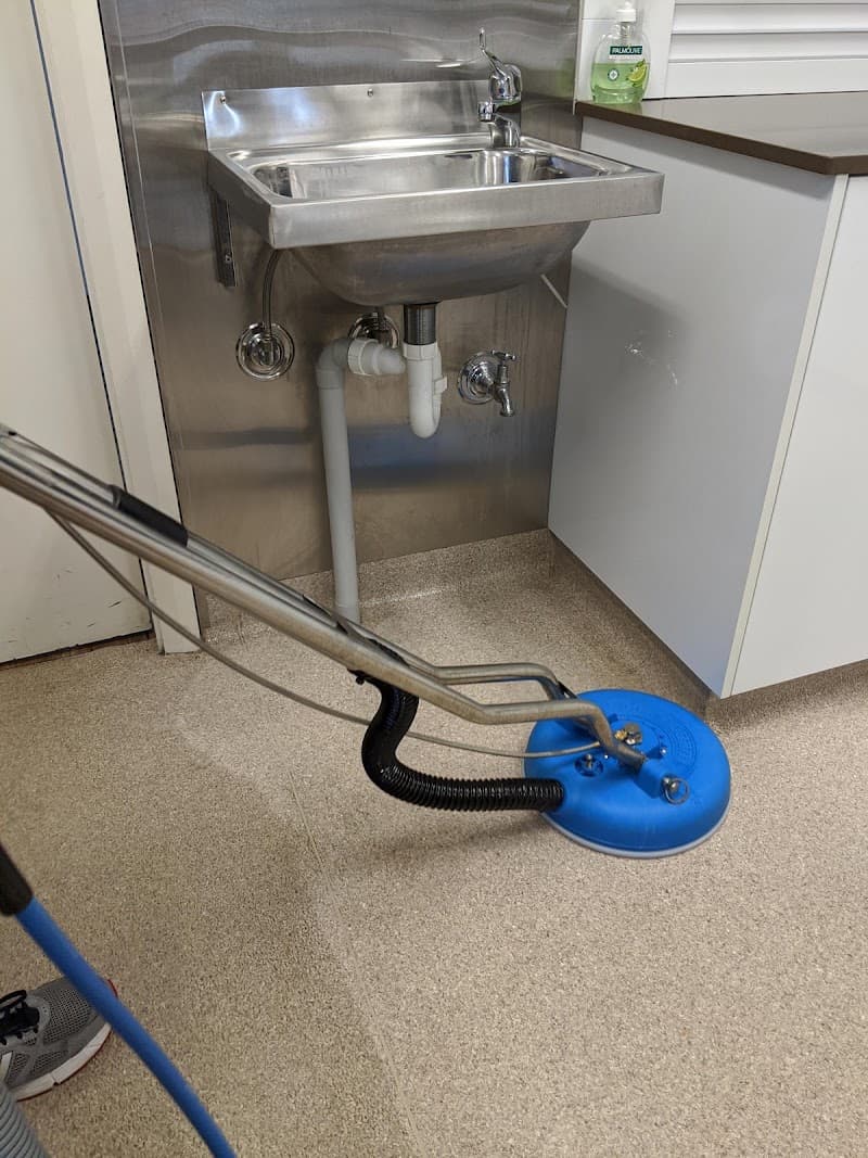 TL Clean carpet cleaning work in Halls Head