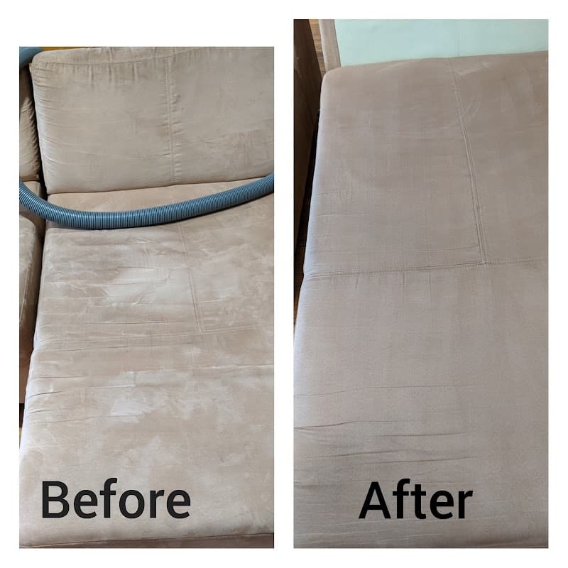 TL Clean carpet cleaning work in Halls Head