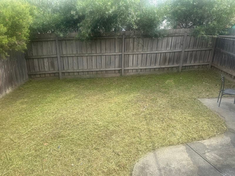 TMG Projects - Lawn Mowing & Gardening Services gardening work in Melbourne