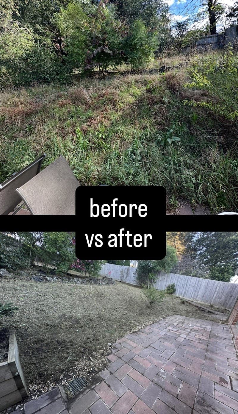 TMG Projects - Lawn Mowing & Gardening Services gardening work in Melbourne