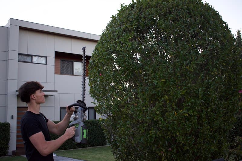 To The Max Lawns lawn care work in Killara