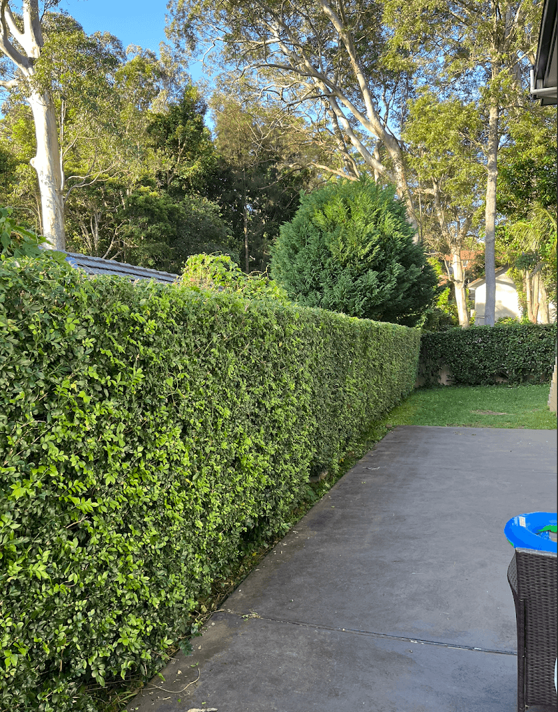 To The Max Lawns lawn care work in Killara