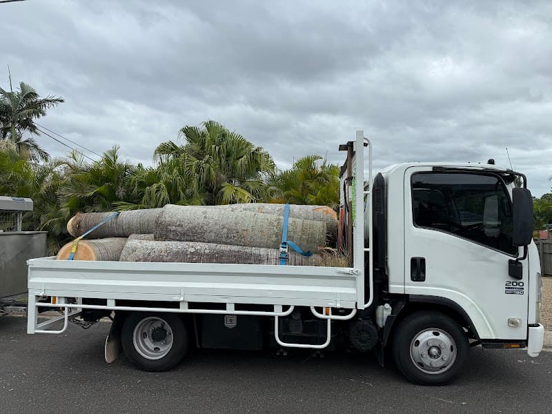 Tom's Tree Lopping tree services work in Daisy Hill