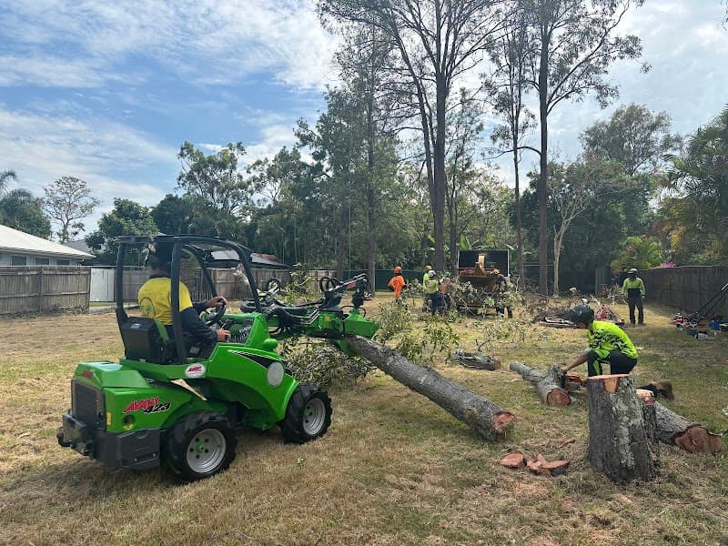 Tom's Tree Lopping tree services work in Daisy Hill