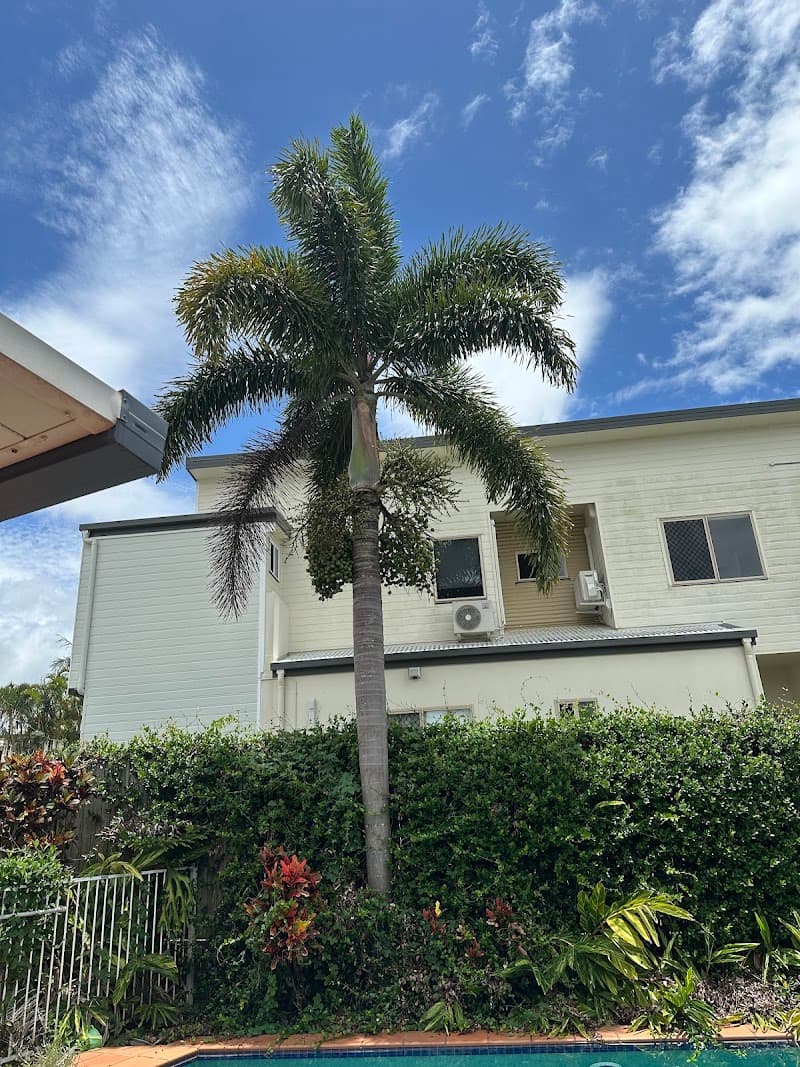Toms Tree Works tree services work in Sheldon