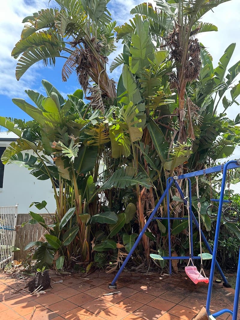 Toms Tree Works tree services work in Sheldon