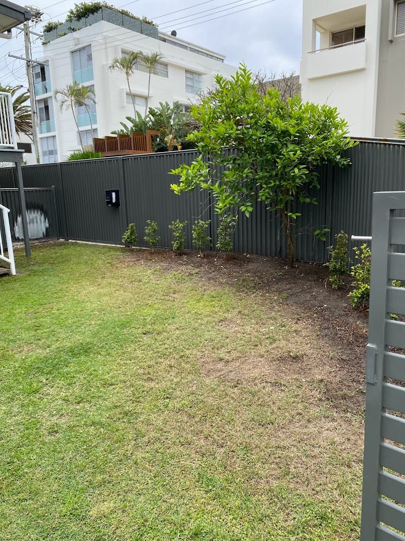 Tony's Lawn and Garden Maintenance gardening work in Surfers Paradise