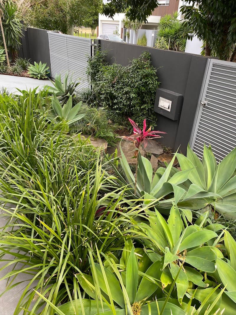 Tony's Lawn and Garden Maintenance gardening work in Surfers Paradise