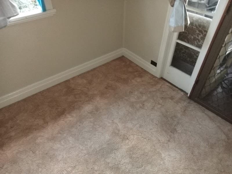 Toowoomba Darling Downs cleaning service carpet cleaning work in Rockville
