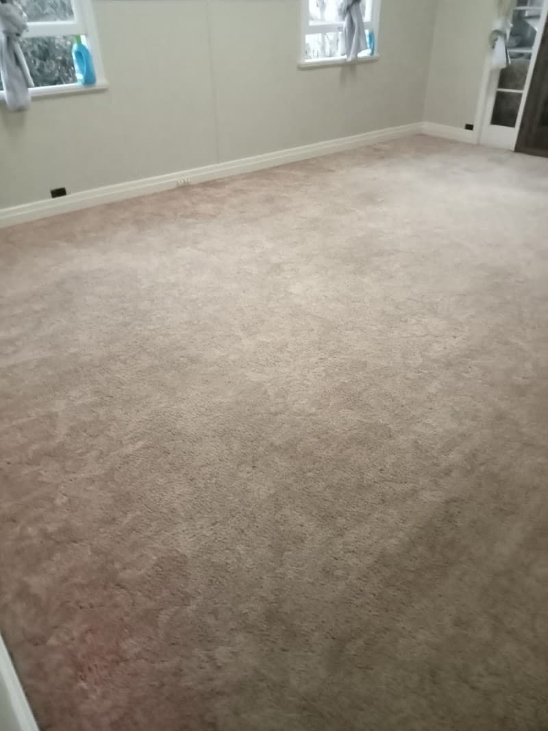 Toowoomba Darling Downs cleaning service carpet cleaning work in Rockville