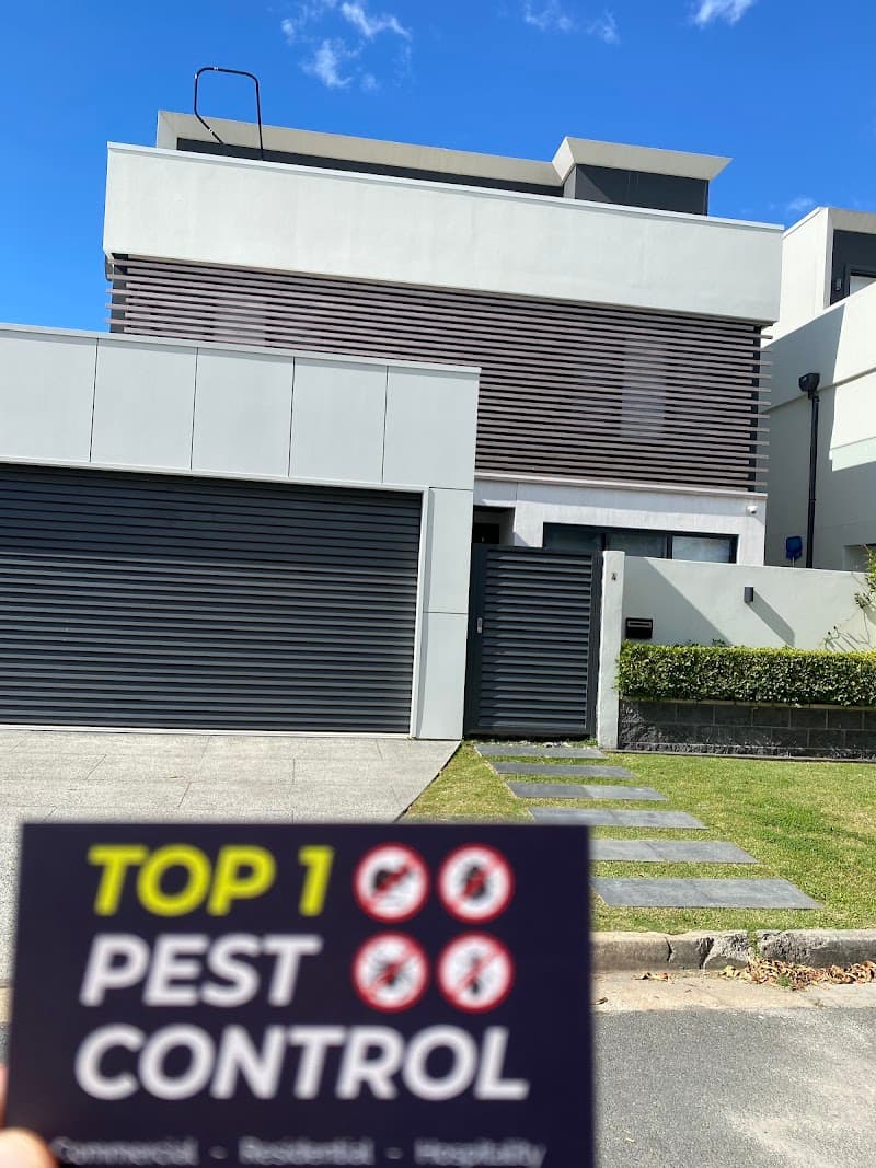Top 1 Pest Control Pty Ltd pest control work in Surfers Paradise