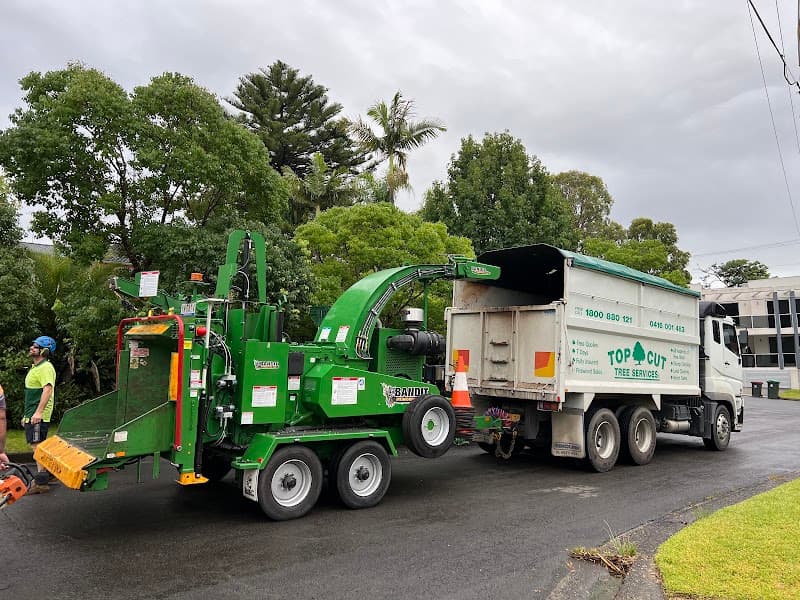 Top Cut Tree Services tree services work in Shanes Park
